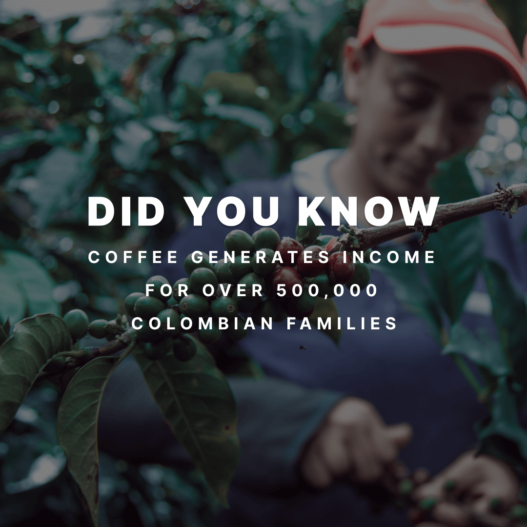 Did you know - coffee generates income for over 500,000 Colombian families